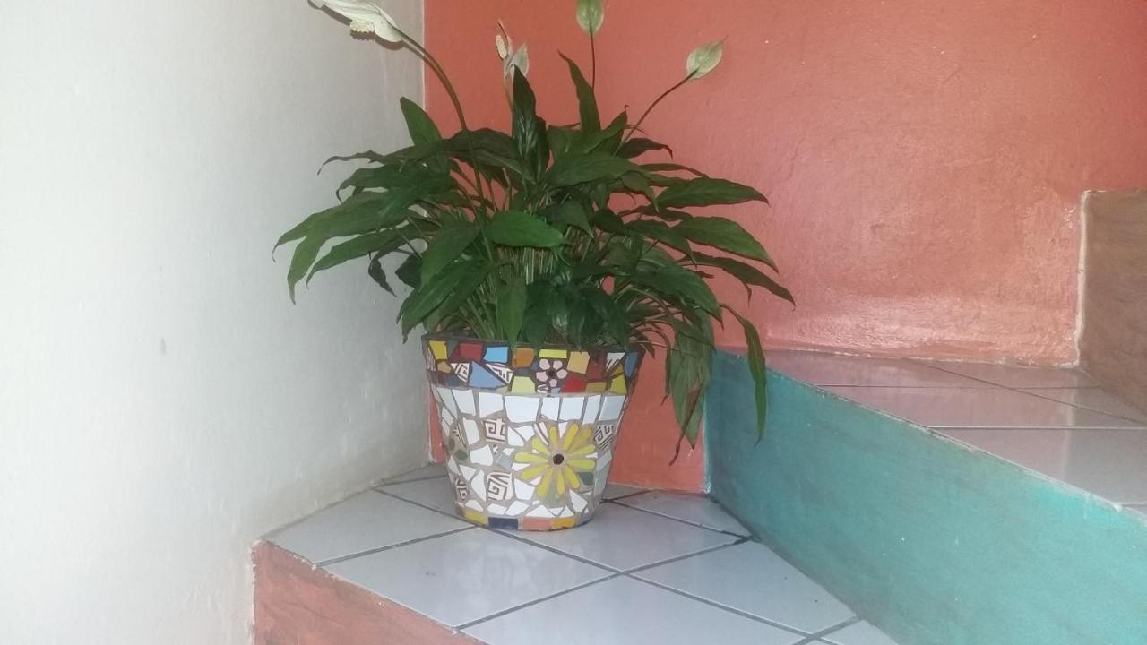 Casa Hostel Mosaicos Dya Florianopolis Luaran gambar